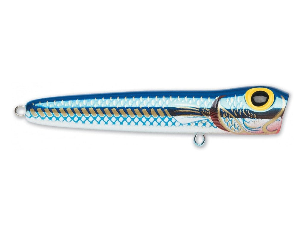 Saltwater Chug Bug