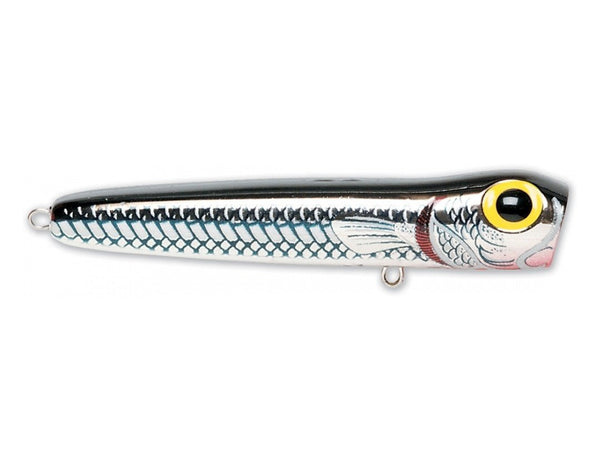 Saltwater Chug Bug