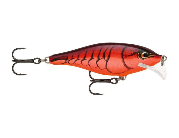 Scatter Rap Shad