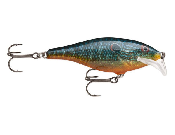 Scatter Rap Shad
