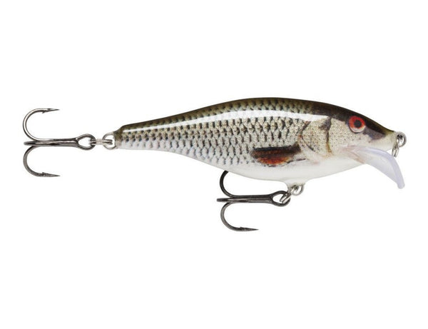 Scatter Rap Shad