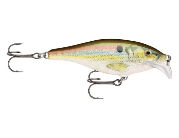 Scatter Rap Shad