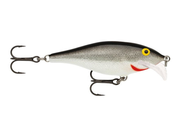 Scatter Rap Shad
