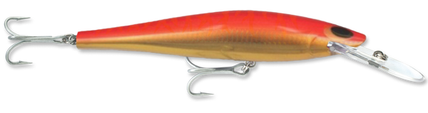 Speed Pro