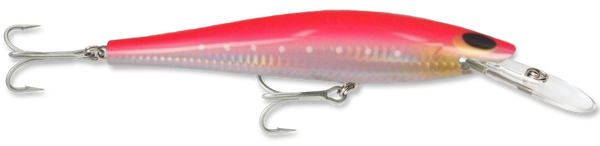 Speed Pro